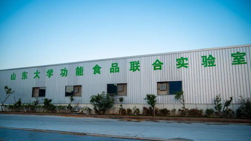 匯儒生物與山東大學(xué)共建功能性食品研發(fā)聯(lián)合實(shí)驗(yàn)室落成