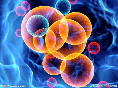 2016年全球生物技術綜合競爭力評價之創新環境