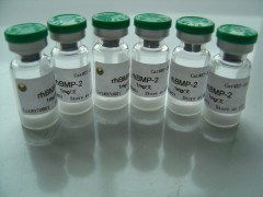 上海博華生物科技 創新驅動，引領生物科技未來